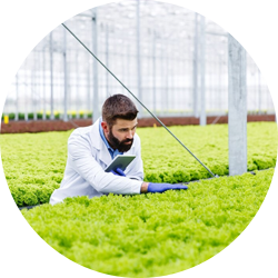 Agriculture-&-Farming-Industry - Nexazon Global Solutions