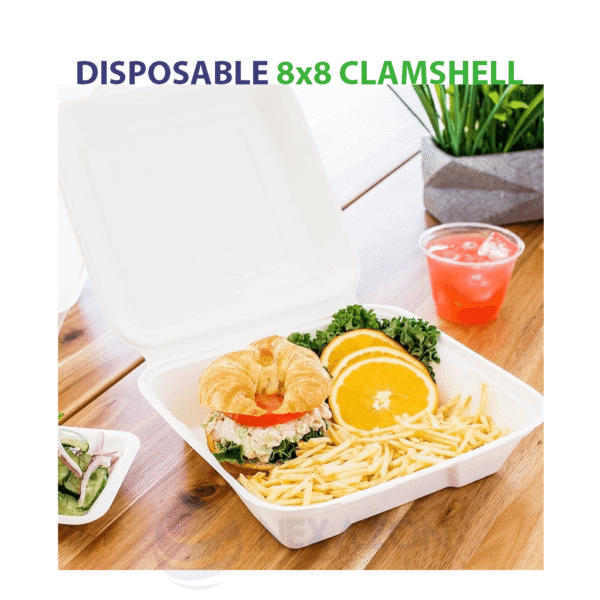 Disposable 8 x 8 Clamshell Bagasse Box - Nexazon Global Solutions
