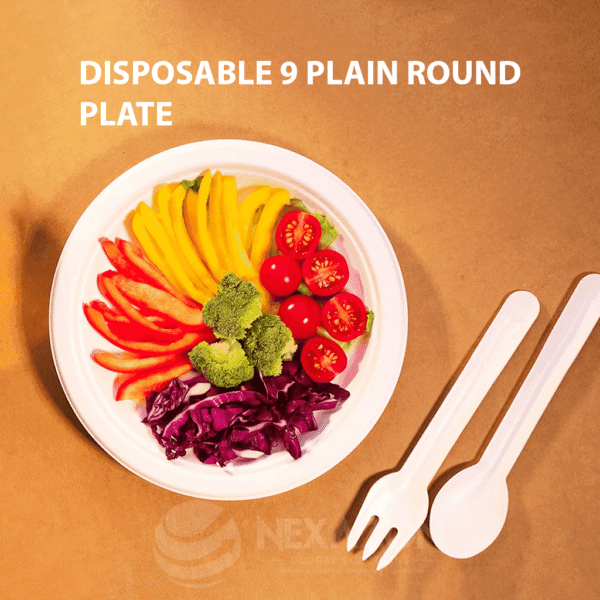 Disposable 9 Inch Plain Round Bagasse Plate - Nexazon Global Solutions
